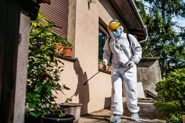 Professional Pest Control in Seven Points, TX
