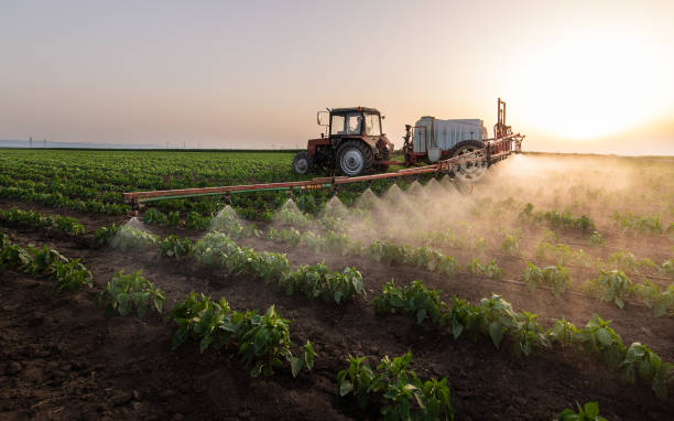 Best Commercial Pest Control Services  in Seven Points, TX