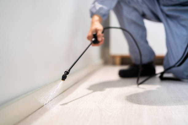 Best Local Pest Control Services  in Seven Points, TX