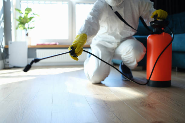 Best Pest Prevention Services  in Seven Points, TX