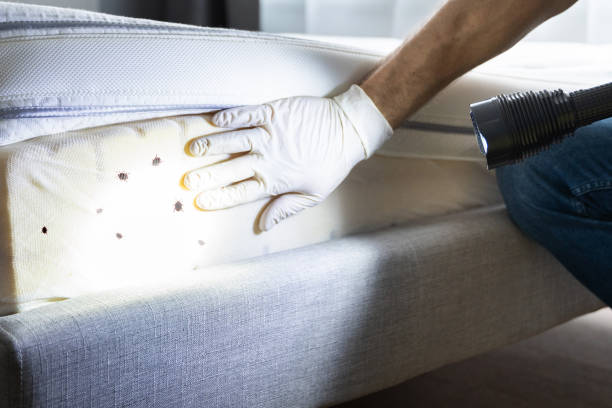 Best Commercial Pest Control Services  in Seven Points, TX